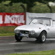 Illustration for article titled Endangered Species: Toyota Sports 800